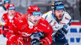 třinec61 GgtjXMYXoAA591Q